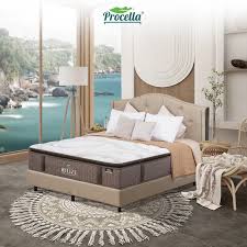 Procella Belize