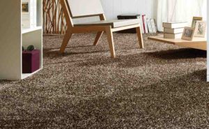 Karpet Bulu Saxony