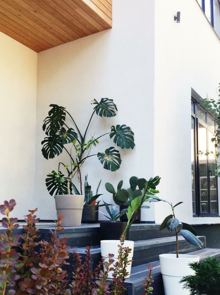 Tambahkan Tanaman Hias untuk Suasana Lebih Segar